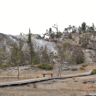 Boardwalk, Lower Terraces, Mammoth Hot Springs - Yellowstone-Nationalpark. - Lower Terraces, Mammoth Hot Springs - (Mammoth, Yellowstone National Park, Wyoming, Vereinigte Staaten)