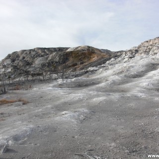 Yellowstone-Nationalpark. Jupiter Terrace, Mammoth Hot Springs - Yellowstone-Nationalpark. - Mammoth Hot Springs, Sinter-Terrassen, Jupiter Terrace - (Mammoth, Yellowstone National Park, Wyoming, Vereinigte Staaten)