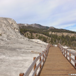 Yellowstone-Nationalpark. Mammoth Hot Springs - Yellowstone-Nationalpark. - Mammoth Hot Springs, Sinter-Terrassen - (Mammoth, Yellowstone National Park, Wyoming, Vereinigte Staaten)