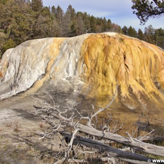 Yellowstone-Nationalpark. Orange Spring Mound, Mammoth Hot Springs - Yellowstone-Nationalpark. - Upper Terrace Loop, Mammoth Hot Springs, Upper Terraces, Orange Spring Mound - (Mammoth, Yellowstone National Park, Wyoming, Vereinigte Staaten)