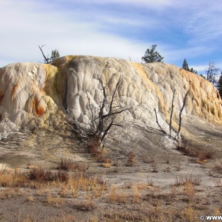 Yellowstone-Nationalpark. Orange Spring Mound, Mammoth Hot Springs - Yellowstone-Nationalpark. - Upper Terrace Loop, Mammoth Hot Springs, Upper Terraces, Orange Spring Mound - (Mammoth, Yellowstone National Park, Wyoming, Vereinigte Staaten)