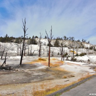 Yellowstone-Nationalpark. Angel Terrace, Mammoth Hot Springs - Yellowstone-Nationalpark. - Upper Terrace Loop, Mammoth Hot Springs, Sinter-Terrassen, Upper Terraces, Angel Terrace - (Mammoth, Yellowstone National Park, Wyoming, Vereinigte Staaten)