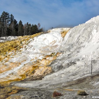 Canary Springs Overlook, Mammoth Hot Springs - Yellowstone-Nationalpark. - Mammoth Hot Springs, Sinter-Terrassen, Canary Springs, Canary Springs Overlook - (Mammoth, Yellowstone National Park, Wyoming, Vereinigte Staaten)