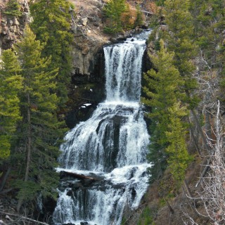 Yellowstone-Nationalpark. Undine Falls - Yellowstone-Nationalpark. - Bäume, Wasserfall, Wasser, Mammoth Hot Springs, Undine Falls - (Mammoth, Yellowstone National Park, Wyoming, Vereinigte Staaten)