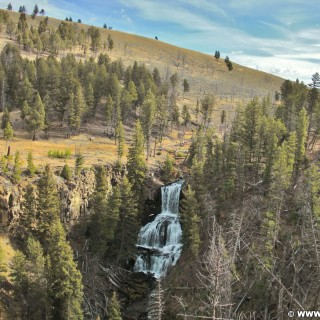 Yellowstone-Nationalpark. Undine Falls - Yellowstone-Nationalpark. - Bäume, Wasserfall, Wasser, Mammoth Hot Springs, Undine Falls - (Mammoth, Yellowstone National Park, Wyoming, Vereinigte Staaten)