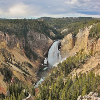 Yellowstone-Nationalpark. Grand Canyon of the Yellowstone, Lower Falls vom Lookout Point am North Rim - Yellowstone-Nationalpark. - Landschaft, Wasserfall, Fluss, Yellowstone River, Lower Falls, Lookout Point, Canyon Village, Grand Canyon of the Yellowstone - (Canyon Village, Yellowstone National Park, Wyoming, Vereinigte Staaten)