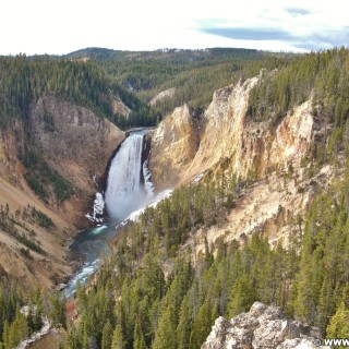 Yellowstone-Nationalpark. Grand Canyon of the Yellowstone, Lower Falls vom Lookout Point am North Rim - Yellowstone-Nationalpark. - Landschaft, Wasserfall, Fluss, Yellowstone River, Lower Falls, Lookout Point, Canyon Village, Grand Canyon of the Yellowstone - (Canyon Village, Yellowstone National Park, Wyoming, Vereinigte Staaten)