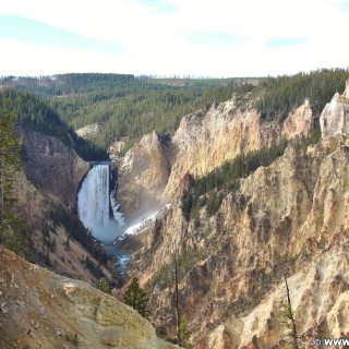 Yellowstone-Nationalpark. Grand Canyon of the Yellowstone, Grand Canyon of the Yellowstone - Lower Falls vom Artist Point am South Rim - Yellowstone-Nationalpark. - Wasserfall, Canyon, Artists Point, Yellowstone River, Lower Falls, Canyon Village, Grand Canyon of the Yellowstone, South Rim Drive, South Rim - (Canyon Village, Yellowstone National Park, Wyoming, Vereinigte Staaten)