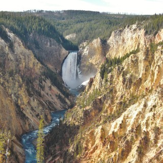 Yellowstone-Nationalpark. Grand Canyon of the Yellowstone, Lower Falls vom Artist Point am South Rim - Yellowstone-Nationalpark. - Wasserfall, Canyon, Artists Point, Yellowstone River, Lower Falls, Canyon Village, Grand Canyon of the Yellowstone, South Rim Drive, South Rim - (Canyon Village, Yellowstone National Park, Wyoming, Vereinigte Staaten)