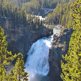 Yellowstone-Nationalpark. Grand Canyon of the Yellowstone, Upper Falls vom Upper Falls Viewpoint am South Rim - Yellowstone-Nationalpark. - Wasserfall, Yellowstone River, Upper Falls, Canyon Village, Grand Canyon of the Yellowstone, South Rim Drive, South Rim, Upper Falls View Point - (Canyon Village, Yellowstone National Park, Wyoming, Vereinigte Staaten)