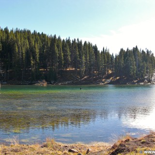 Yellowstone-Nationalpark. Fischer im Yellowstone River - Yellowstone-Nationalpark. - Fluss, Wasser, Yellowstone River, Canyon Village, Fischer - (Canyon Village, Yellowstone National Park, Wyoming, Vereinigte Staaten)