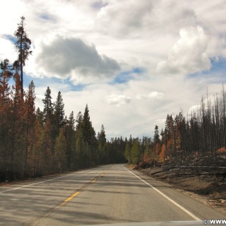 Yellowstone-Nationalpark. On the Road - Yellowstone-Nationalpark. -  - (West Thumb, Yellowstone National Park, Wyoming, Vereinigte Staaten)