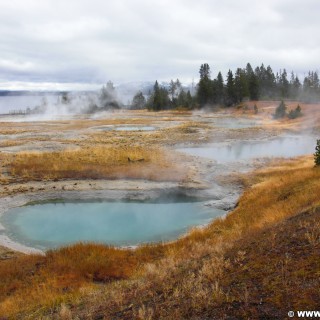 Yellowstone-Nationalpark. West Thumb Geyser Basin. - West Thumb Geyser Basin - (West Thumb, Yellowstone National Park, Wyoming, Vereinigte Staaten)