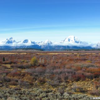 Grand-Teton-Nationalpark. Blick auf die Gebirgskette der Tetons. - Landschaft, Panorama, Berg, Bergkette, Grand Teton, Grand-Teton-Nationalpark, Nationalpark, Gebirge, Gebirgskette - (Moran, Wyoming, Vereinigte Staaten)