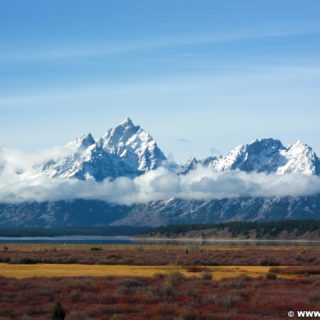 Grand-Teton-Nationalpark. Blick auf die Gebirgskette der Tetons. - Landschaft, Panorama, See, Berg, Bergkette, Grand Teton, Grand-Teton-Nationalpark, Nationalpark, Gebirge, Gebirgskette, Bergsee, Jackson Lake - (Moran, Wyoming, Vereinigte Staaten)