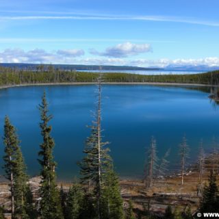 Yellowstone-Nationalpark. Duck Lake in der West Thumb Area. - See, Duck Lake, West Thumb Area - (West Thumb, Moran, Wyoming, Vereinigte Staaten)