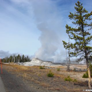 Yellowstone-Nationalpark. Castle Geyser  in der Old Faithful Area - Upper Geyser Basin South Section. - Old Faithful Area, Upper Geyser Basin South Section, Castle Geyser - (Three River Junction, Yellowstone National Park, Wyoming, Vereinigte Staaten)