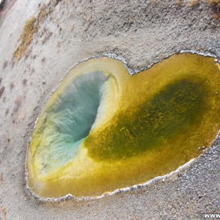 Yellowstone-Nationalpark. Belgian Pool in der Old Faithful Area - Upper Geyser Basin South Section. - Old Faithful Area, Upper Geyser Basin South Section, Belgian Pool - (Three River Junction, Yellowstone National Park, Wyoming, Vereinigte Staaten)