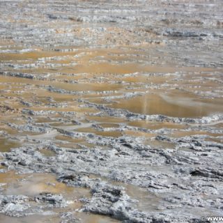 Yellowstone-Nationalpark. Old Faithful Area - Upper Geyser Basin South Section. - Old Faithful Area, Upper Geyser Basin South Section - (Three River Junction, Yellowstone National Park, Wyoming, Vereinigte Staaten)