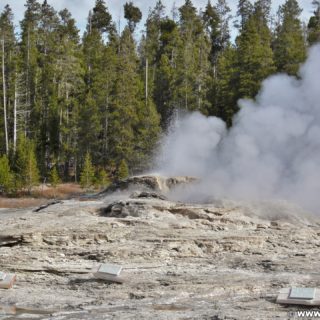 Yellowstone-Nationalpark. Bijou, Catfish und Mastiff Geyser in der Old Faithful Area - Upper Geyser Basin North Section. - Old Faithful Area, Upper Geyser Basin North Section, Bijou, Catfish und Mastiff Geyser - (Three River Junction, Yellowstone National Park, Wyoming, Vereinigte Staaten)