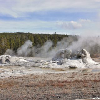 Yellowstone-Nationalpark. Grotto Geyser in der Old Faithful Area - Upper Geyser Basin North Section. - Old Faithful Area, Upper Geyser Basin North Section, Grotto Geyser - (Three River Junction, Yellowstone National Park, Wyoming, Vereinigte Staaten)