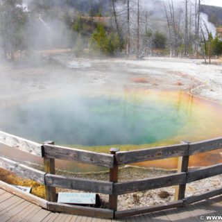 Yellowstone-Nationalpark. Morning Glory Pool in der Old Faithful Area - Upper Geyser Basin North Section. - Old Faithful Area, Upper Geyser Basin North Section, Morning Glory Pool - (Three River Junction, Yellowstone National Park, Wyoming, Vereinigte Staaten)