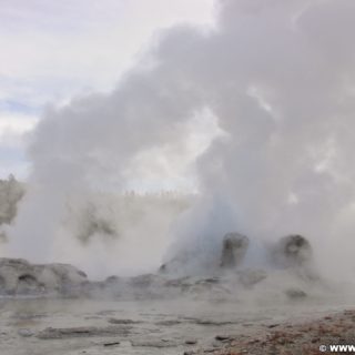 Yellowstone-Nationalpark. Grotto Geyser in der Old Faithful Area - Upper Geyser Basin North Section. - Old Faithful Area, Upper Geyser Basin North Section, Grotto Geyser - (Three River Junction, Yellowstone National Park, Wyoming, Vereinigte Staaten)