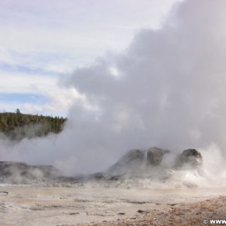 Yellowstone-Nationalpark. Grotto Geyser in der Old Faithful Area - Upper Geyser Basin North Section. - Old Faithful Area, Upper Geyser Basin North Section, Grotto Geyser - (Three River Junction, Yellowstone National Park, Wyoming, Vereinigte Staaten)