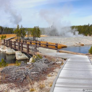 Yellowstone-Nationalpark. Oblong Geyser am Firehole River in der Old Faithful Area - Upper Geyser Basin South Section. - Firehole River, Old Faithful Area, Upper Geyser Basin South Section, Oblong Geyser - (Three River Junction, Yellowstone National Park, Wyoming, Vereinigte Staaten)