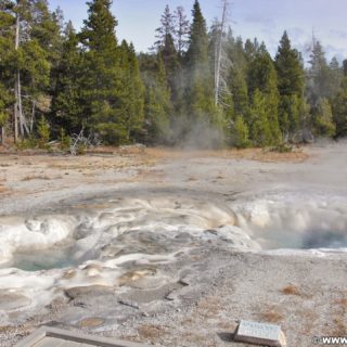 Yellowstone-Nationalpark. Spasmodic Geyser in der Old Faithful Area - Upper Geyser Basin South Section. - Old Faithful Area, Upper Geyser Basin South Section, Spasmodic Geyser - (Three River Junction, Yellowstone National Park, Wyoming, Vereinigte Staaten)