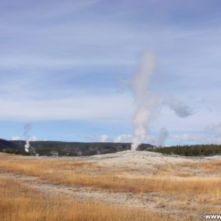 Yellowstone-Nationalpark. Old Faithful Geyser- Upper Geyser Basin South Section. - Old Faithful Area, Upper Geyser Basin South Section, Old Faithful Geyser - (Three River Junction, Yellowstone National Park, Wyoming, Vereinigte Staaten)