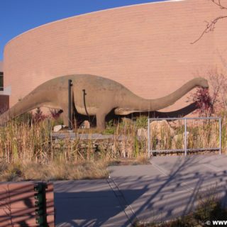 Vernal - Dinoland. Diplodocus im State Park Museum in Vernal. - Tier, Skulptur, Statue, Dinosaurier, Diplodocus, Sauropoden - (Vernal, Utah, Vereinigte Staaten)