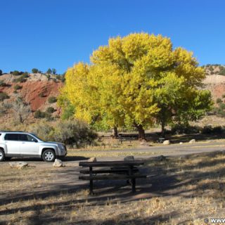 Dinosaur National Monument. Split Mountain Group Campground am Ufer des Green River. - Auto, Bäume, Tisch, Campingplatz, Bank, GMC Terrain, KFZ, Laub, Split Mountain Campground - (Jensen, Utah, Vereinigte Staaten)