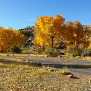 Dinosaur National Monument. Split Mountain Group Campground am Ufer des Green River. - Bäume, Campingplatz, Laub, Split Mountain Campground - (Jensen, Utah, Vereinigte Staaten)