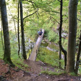 Ötschergräben - Lassingschlucht. Unweit vom Eingang in die Lassingschlucht überquert man eine kleine Brücke über den Lassingbach.. - Brücke, Bäume, Weg, Pfad, Ötschergräben, Lassingschlucht - (Wienerbruck, Langseitenrotte, Niederösterreich, Österreich)