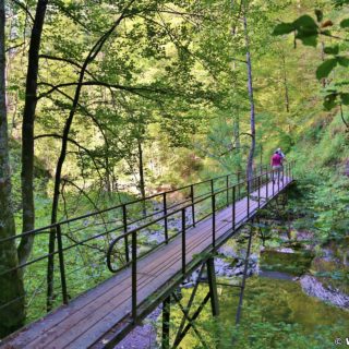 Ötschergräben - Lassingschlucht. Unweit vom Eingang in die Lassingschlucht überquert man eine kleine Brücke über den Lassingbach.. - Brücke, Bäume, Weg, Pfad, Ötschergräben, Lassingschlucht - (Wienerbruck, Langseitenrotte, Niederösterreich, Österreich)