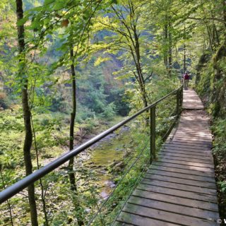 Ötschergräben - Lassingschlucht. Auf gut gepflegten Brücken, Steigen, Wegen und Stiegen wandert man über tosende Wasserfälle und Bäche.. - Ötschergräben, Lassingschlucht - (Wienerbruck, Langseitenrotte, Niederösterreich, Österreich)