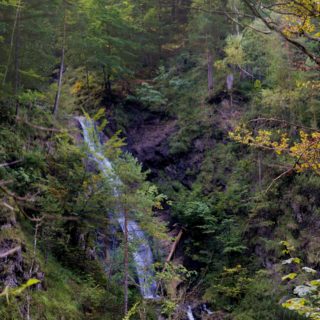 Ötschergräben - Lassingschlucht, Kienbachfall. Dem Weg entlang erreicht man als nächstes den Kienbachfall, einen kleinen Wasserfall, der kaskadenartig über die Felsen stürzt.. - Wasserfall, Wasser, Bach, Ötschergräben, Lassingschlucht, Kaskaden, Kienbachfall - (Wienerbruck, Josefsrotte, Niederösterreich, Österreich)