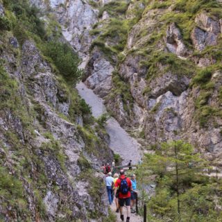 Ötschergräben - Lassingschlucht. Auf gut gepflegten Brücken, Steigen, Wegen und Stiegen wandert man über tosende Wasserfälle und Bäche.. - Ötschergräben, Lassingschlucht - (Wienerbruck, Josefsrotte, Niederösterreich, Österreich)