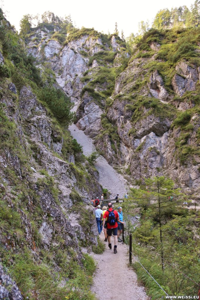 Ötschergräben - Lassingschlucht. Auf gut gepflegten Brücken, Steigen, Wegen und Stiegen wandert man über tosende Wasserfälle und Bäche.. - Ötschergräben, Lassingschlucht - (Wienerbruck, Josefsrotte, Niederösterreich, Österreich)