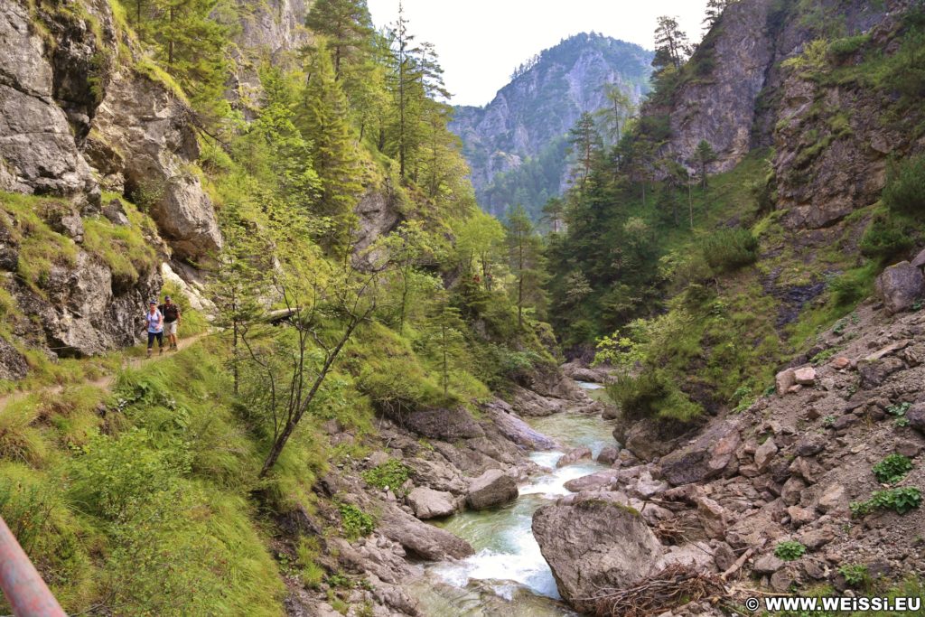 Ötschergräben - Der Grand Canyon Niederösterreichs. Bergauf der zauberhaften Landschaft und dem Ötscherbach folgend, vorbei an zahlreichen Kaskaden und Felsgebilden, erreicht man nach ca. 1,5 Stunden (4,8km) die Jausenstation Ötscherhias.. - Wasser, Bach, Ötschergräben, Vordere Ötschergräben, Ötscherbach - (Hagen, Mitterbach-Seerotte, Niederösterreich, Österreich)