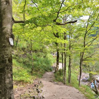 Ötschergräben - Der Grand Canyon Niederösterreichs. Bergauf der zauberhaften Landschaft und dem Ötscherbach folgend, vorbei an zahlreichen Kaskaden und Felsgebilden, erreicht man nach ca. 1,5 Stunden (4,8km) die Jausenstation Ötscherhias.. - Wasser, Bach, Ötschergräben, Vordere Ötschergräben, Ötscherbach - (Hagen, Mitterbach-Seerotte, Niederösterreich, Österreich)