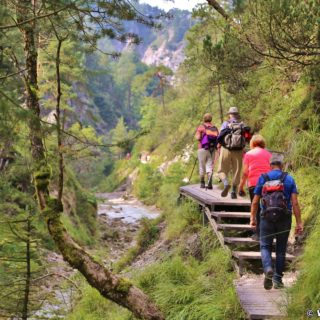 Ötschergräben - Der Grand Canyon Niederösterreichs. Bergauf der zauberhaften Landschaft und dem Ötscherbach folgend, vorbei an zahlreichen Kaskaden und Felsgebilden, erreicht man nach ca. 1,5 Stunden (4,8km) die Jausenstation Ötscherhias.. - Wasser, Bach, Ötschergräben, Vordere Ötschergräben, Ötscherbach - (Hagen, Mitterbach-Seerotte, Niederösterreich, Österreich)