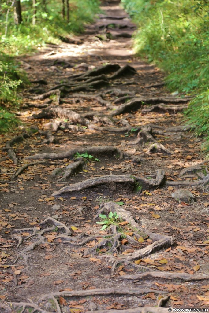 Ötschergräben - Der Grand Canyon Niederösterreichs. Gut gestärkt geht es weiter über den Jodelgraben in die hinteren Ötschergräben zum Mira- und Schleierfall.. - Ötschergräben, Hintere Ötschergräben - (Hagen, Mitterbach-Seerotte, Niederösterreich, Österreich)