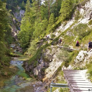 Ötschergräben - Der Grand Canyon Niederösterreichs. Am Weg durch die hinteren Ötschergräben sind die Schluchten, Felsformationen und die Landschaft fast noch eindrucksvoller!. - Felsen, Bäume, Felswand, Weg, Ötschergräben, Ötscherbach, Hintere Ötschergräben, Steig - (Hagen, Mitterbach-Seerotte, Niederösterreich, Österreich)