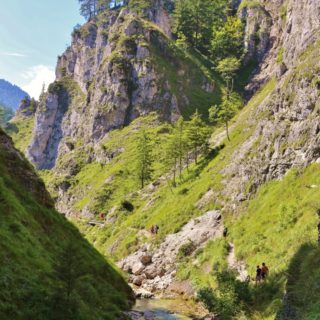 Ötschergräben - Der Grand Canyon Niederösterreichs. Am Weg durch die hinteren Ötschergräben sind die Schluchten, Felsformationen und die Landschaft fast noch eindrucksvoller!. - Felsen, Bäume, Felswand, Weg, Ötschergräben, Ötscherbach, Hintere Ötschergräben, Steig - (Hagen, Mitterbach-Seerotte, Niederösterreich, Österreich)