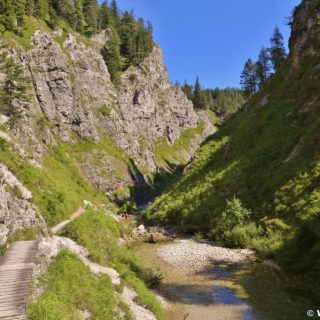 Ötschergräben - Der Grand Canyon Niederösterreichs. Am Weg durch die hinteren Ötschergräben sind die Schluchten, Felsformationen und die Landschaft fast noch eindrucksvoller!. - Felsen, Bäume, Felswand, Weg, Ötschergräben, Ötscherbach, Hintere Ötschergräben, Steig - (Hagen, Mitterbach-Seerotte, Niederösterreich, Österreich)