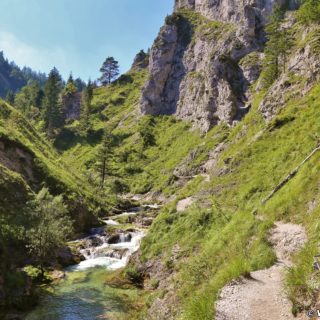 Ötschergräben - Der Grand Canyon Niederösterreichs. Am Weg durch die hinteren Ötschergräben sind die Schluchten, Felsformationen und die Landschaft fast noch eindrucksvoller!. - Felsen, Bäume, Felswand, Weg, Ötschergräben, Ötscherbach, Hintere Ötschergräben, Steig - (Hagen, Mitterbach-Seerotte, Niederösterreich, Österreich)