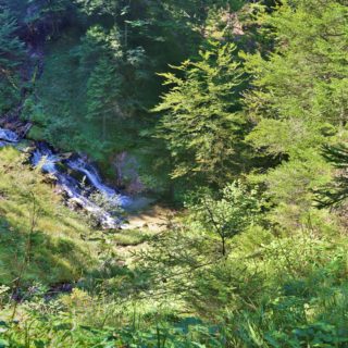 Ötschergräben - Greimelsteig. Über den Greimelsteg erreicht mand das Schutzhaus Vorderötscher.. - Wasser, Bach, Ötschergräben, Hintere Ötschergräben, Greimelsteig, Greimelbach - (Hagen, Mitterbach-Seerotte, Niederösterreich, Österreich)