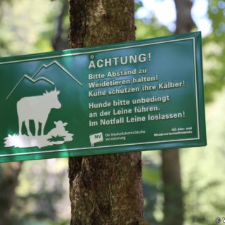 Ötschergräben - Greimelsteig. Über den Greimelsteg erreicht mand das Schutzhaus Vorderötscher.. - Schild, Tafel, Beschilderung, Ötschergräben, Hintere Ötschergräben, Greimelsteig - (Hagen, Mitterbach-Seerotte, Niederösterreich, Österreich)